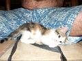 caramel 06-04 035